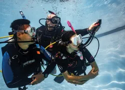 scuba diving 