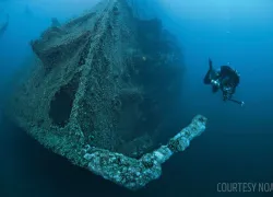 diving_into_world_war_ii_emclark_scd_curr_.jpg.webp