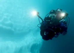 divingunderice_szilviagogh.jpg.webp