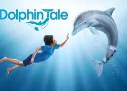 dolphin-tale.jpeg.webp