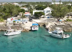 donfostersdivecayman.jpg.webp