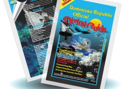 dr_dive_guide_.png.webp