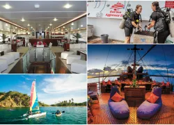 dream_liveaboard_teaser.png.webp