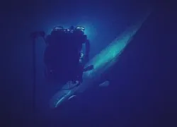 ev-nautilus-spermwhale.jpg.webp