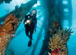 exported_shores_bonaire.jpg.webp