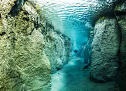 featureimage.scubadivingmagazine.august.jpg.webp