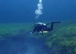 finning_techniques-.png.webp