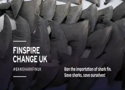 finspire-change-uk-web.jpg.webp