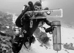 fish-pressure.jpg.webp
