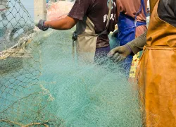 fishermen-dragging-trawling-nets-shutterstock-markuso.jpg.webp