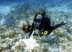 florida-keys-lionfish-female-diver-.jpg.webp