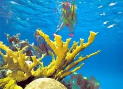 floridakeyspic_.jpg.webp