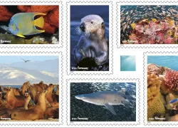forever-stamps-marine-teaser.jpg.webp