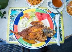 fried-lionfish-barry-b.-brown.jpg.webp