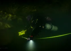 gayle-orner-cave-survey-randall-purdy-tl-bass-telepictures.png.webp