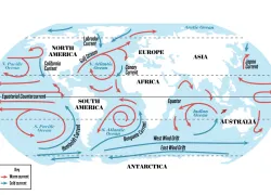 global-current-map-illustration-credit-monica-medina_.png.webp