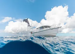 grand_bahama_article_images_x_image.png.webp
