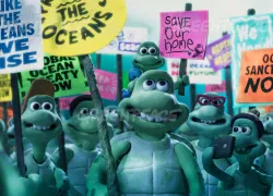 greenpeace-turtle-animation.jpg.webp