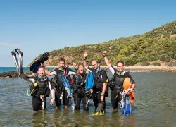 grou-local-divers-shutterstock-roy-pedersen.jpg.webp