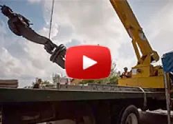 guardian-crane_thumb.jpg.webp