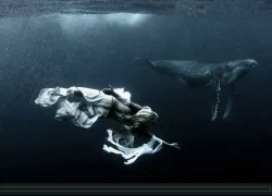 hannah-and-the-humpbacks.jpg.webp