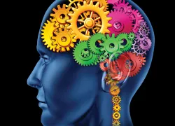 head-full-of-gears.jpg.webp