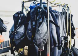 how-to-disinfect-dive-gear.jpg.webp