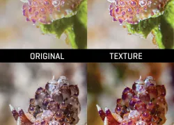 imaging-plus--vertical-overview-image.jpg.webp