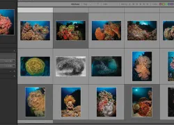 imaging-teaser.jpg.webp