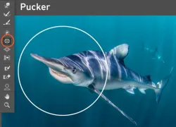 imaging_retouch_erin_quigley_liquify_tool_composites_ma.jpg.webp