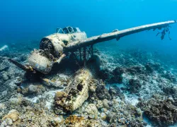 jake-seaplane-palau-credit-alex-mustard.jpg.webp