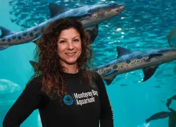 jennifer-dianto-kemmerly-sea-hero-.jpg.webp