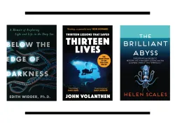 july--bookshelf-teaser.png.webp