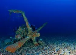 jupiterdivesite.jpg.webp