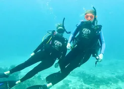 keys-to-dive-learning-to-dive_.jpg.webp