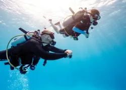 kid_padi-grandcayman---underwater-_edit.jpg.webp