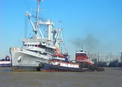 kittiwake_leaving_the_fleet.jpg.webp