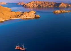 komodo-.jpg.webp