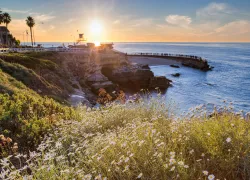 la-jolla-shutterstock-kan_khampanya.jpg.webp