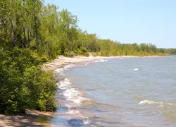 lake-erie-shore-shutterstock-jeffrey-m.-frank.jpg.webp