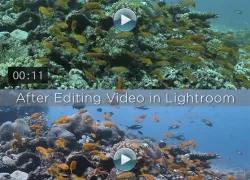lightroom_video_editing_ba_videosplitscreen_.jpg.webp