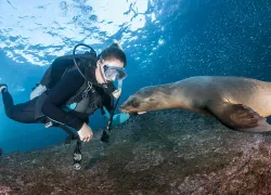 losislotes_wildestanimal_teaser.jpg.webp