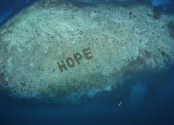 mars-inc-hope-reef.png.webp