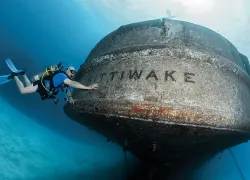 may-wil-dive-the-ship-you-served-teaser.jpg.webp