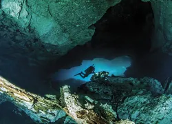 maya-riveria-cenote-mexico-shutterstock-michael-bogner.jpg.webp