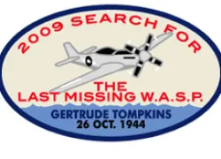 missing-wasp.jpg.webp
