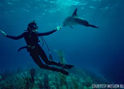 missionbluewm.jpg.webp