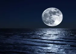 moon-ocean-shutterstock-krasowit.jpg.webp