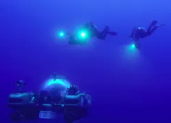 nekton-gue.jpg.webp