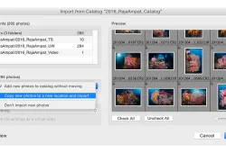 newphotoschoices.jpg.webp